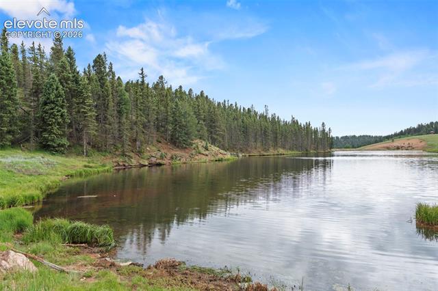 MLS Image for 319  Maroon Lake  ,Divide, Colorado