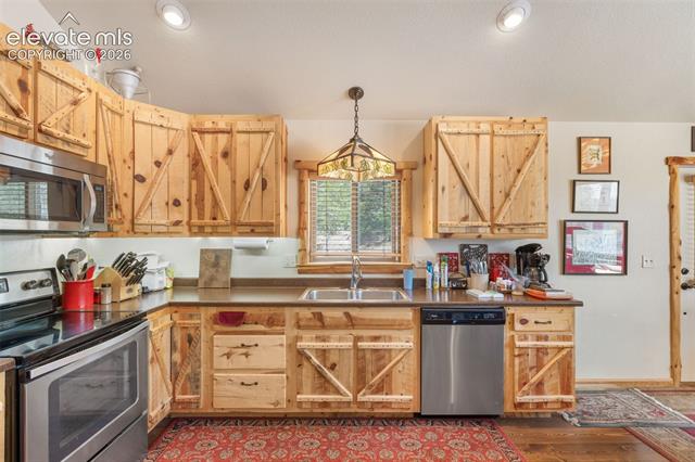 MLS Image for 319  Maroon Lake  ,Divide, Colorado