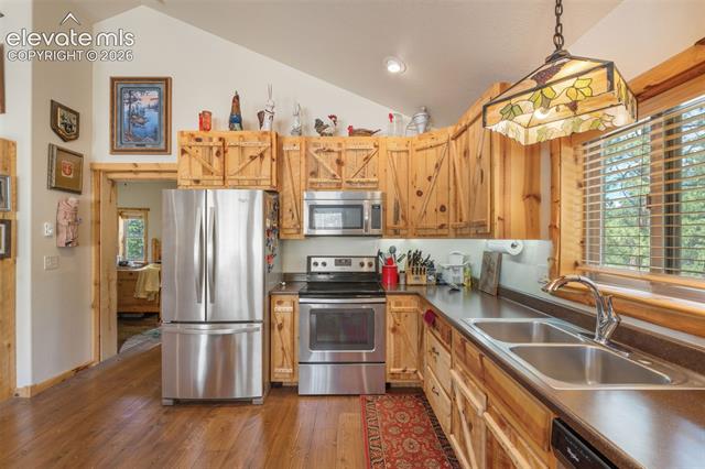 MLS Image for 319  Maroon Lake  ,Divide, Colorado