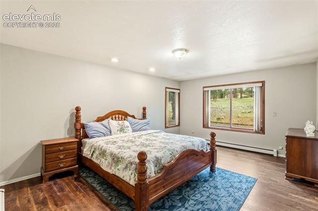 MLS Image for 51  Carriage  ,Florissant, Colorado