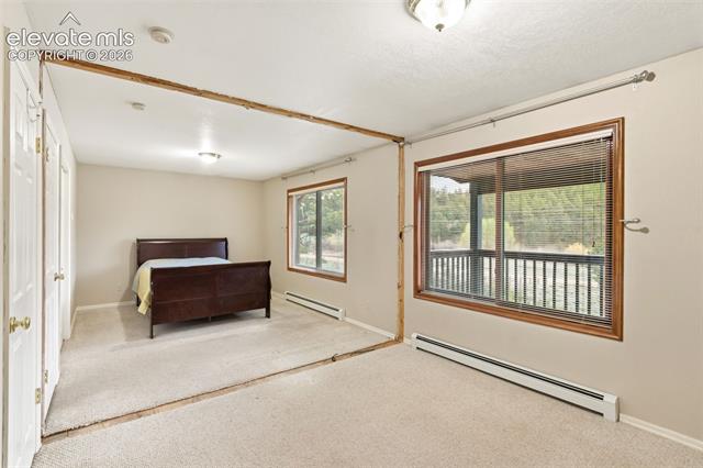 MLS Image for 51  Carriage  ,Florissant, Colorado
