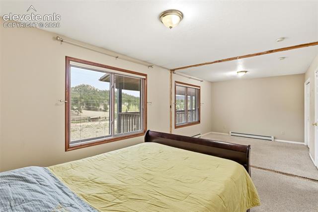 MLS Image for 51  Carriage  ,Florissant, Colorado