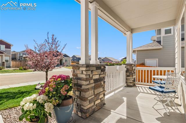 MLS Image for 10850  Matta  ,Colorado Springs, Colorado