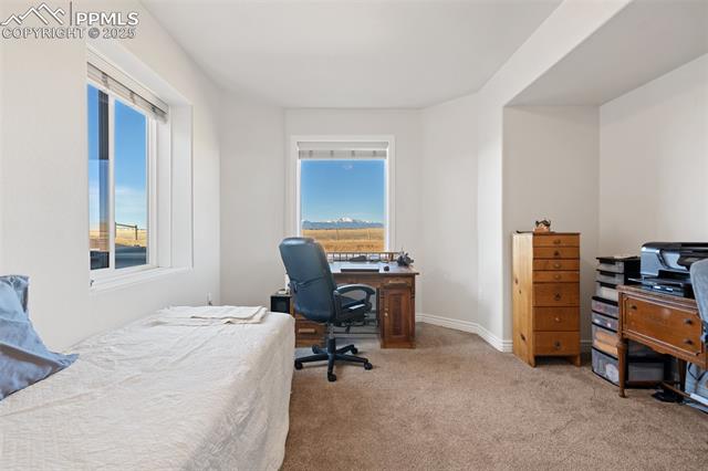 MLS Image for 2600  Antelope Hill  ,Peyton, Colorado