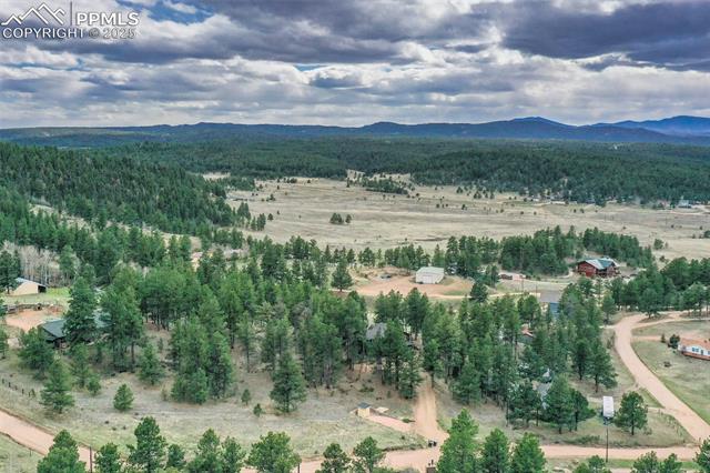 MLS Image for 517  Crystal Peak  ,Florissant, Colorado