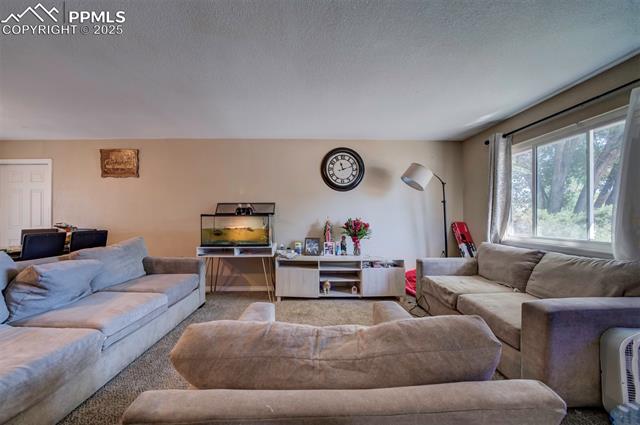 MLS Image for 842 S Circle  ,Colorado Springs, Colorado