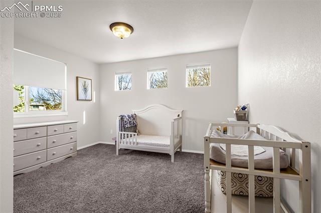 MLS Image for 9969  Rose Leaf  ,Colorado Springs, Colorado