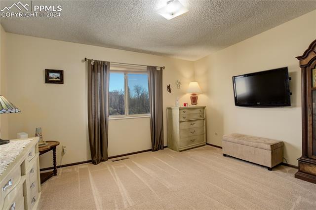 MLS Image for 1142  Fontmore  C ,Colorado Springs, Colorado