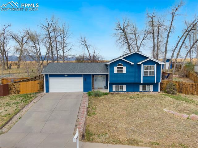 6650  Weeping Willow  , colorado springs  House Search MLS Picture