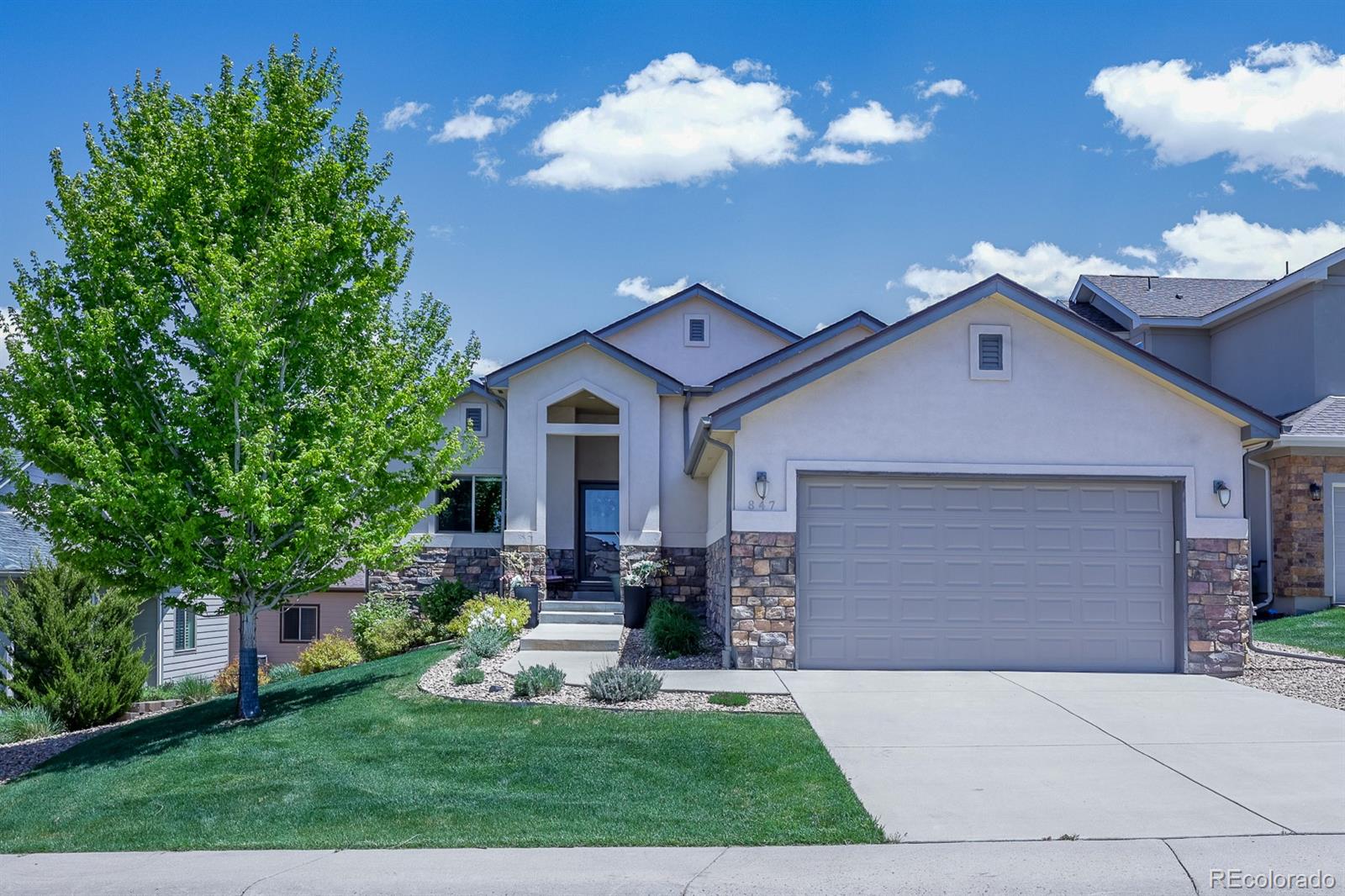 847  Stafford Circle, castle rock MLS: 4088069 Beds: 4 Baths: 3 Price: $658,000