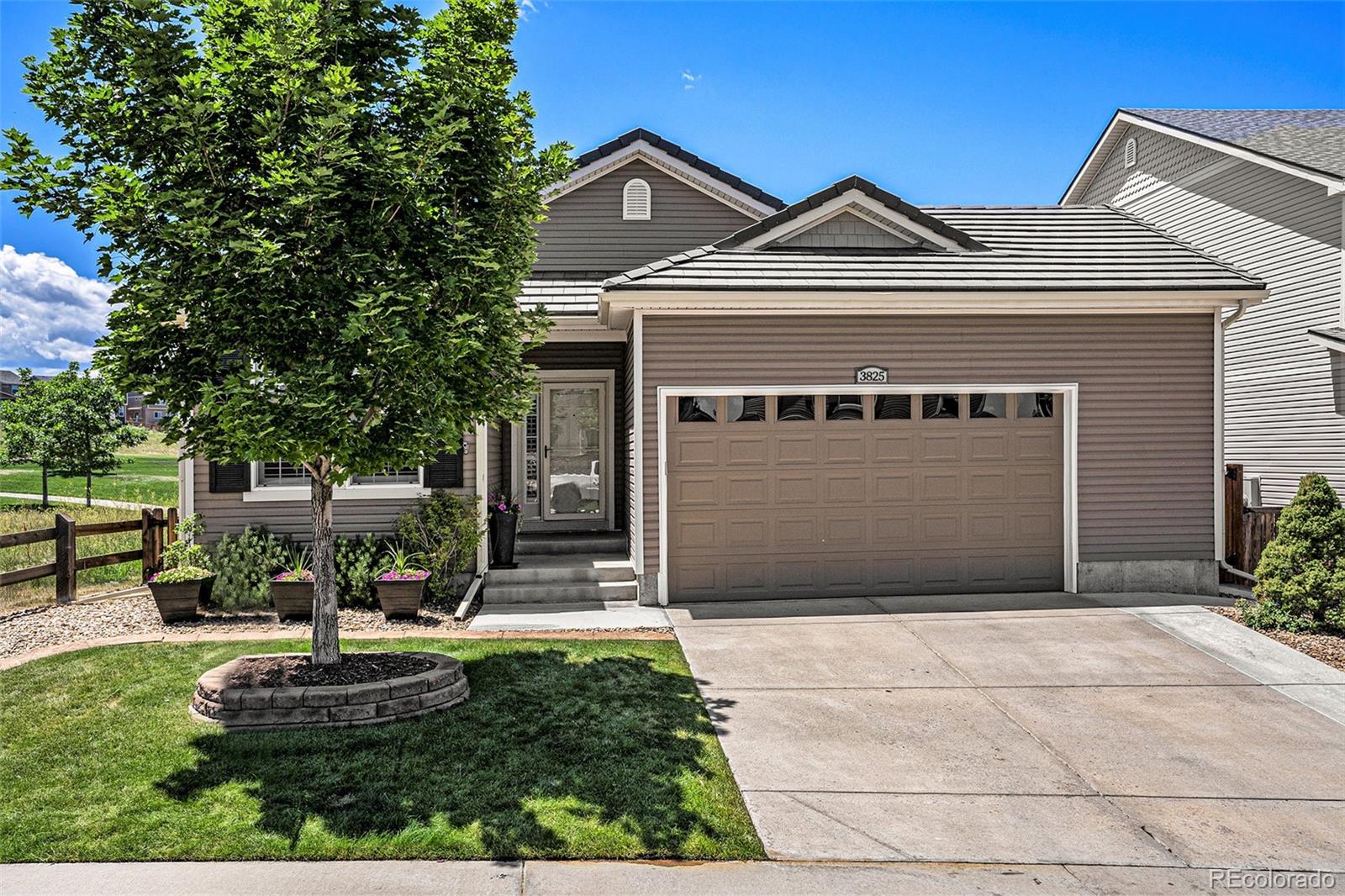 3825  Starry Night Loop, castle rock MLS: 5874325 Beds: 5 Baths: 3 Price: $740,000