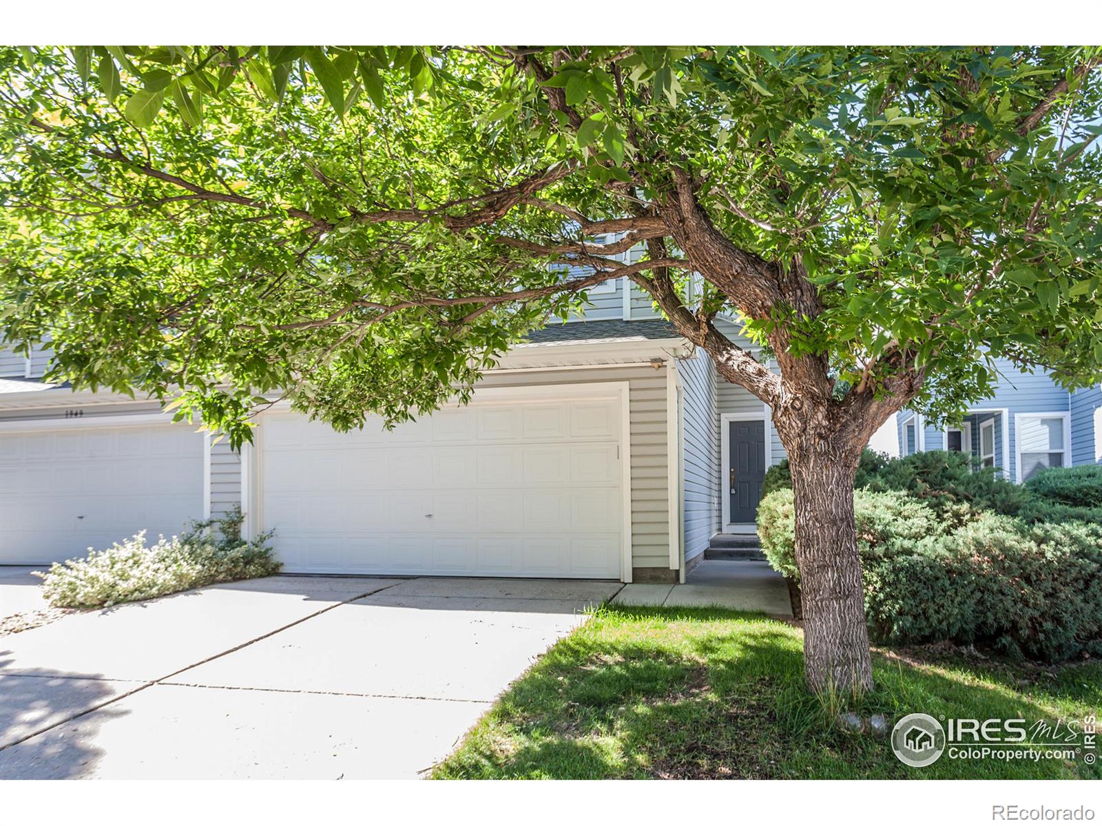 1947  dove creek circle, Loveland sold home. Closed on 2024-11-15 for $385,000.