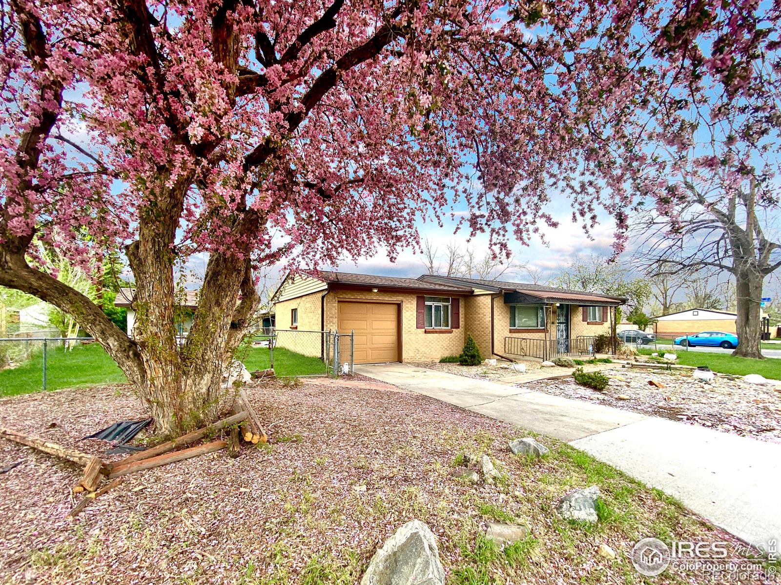 9845 W 51st Place, arvada MLS: 4567891021294 Beds: 3 Baths: 1 Price: $415,000