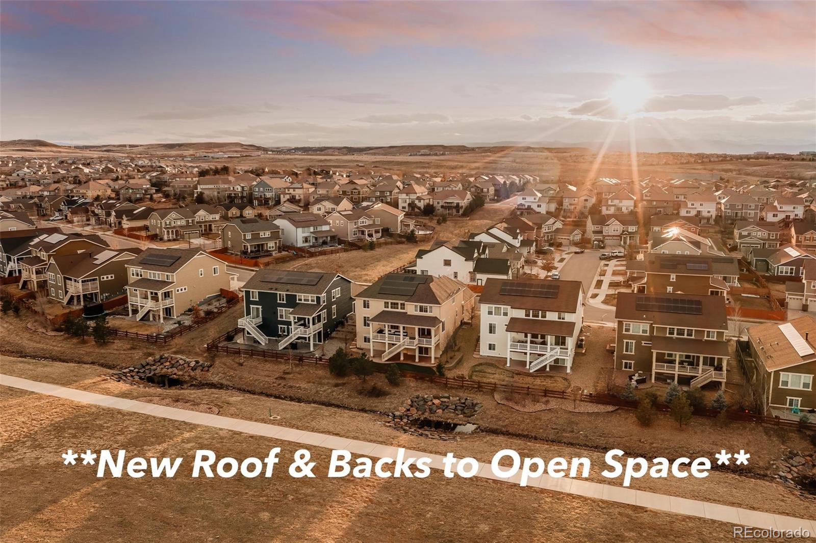 10100  Isle Street, parker MLS: 2419207 Beds: 6 Baths: 6 Price: $989,750