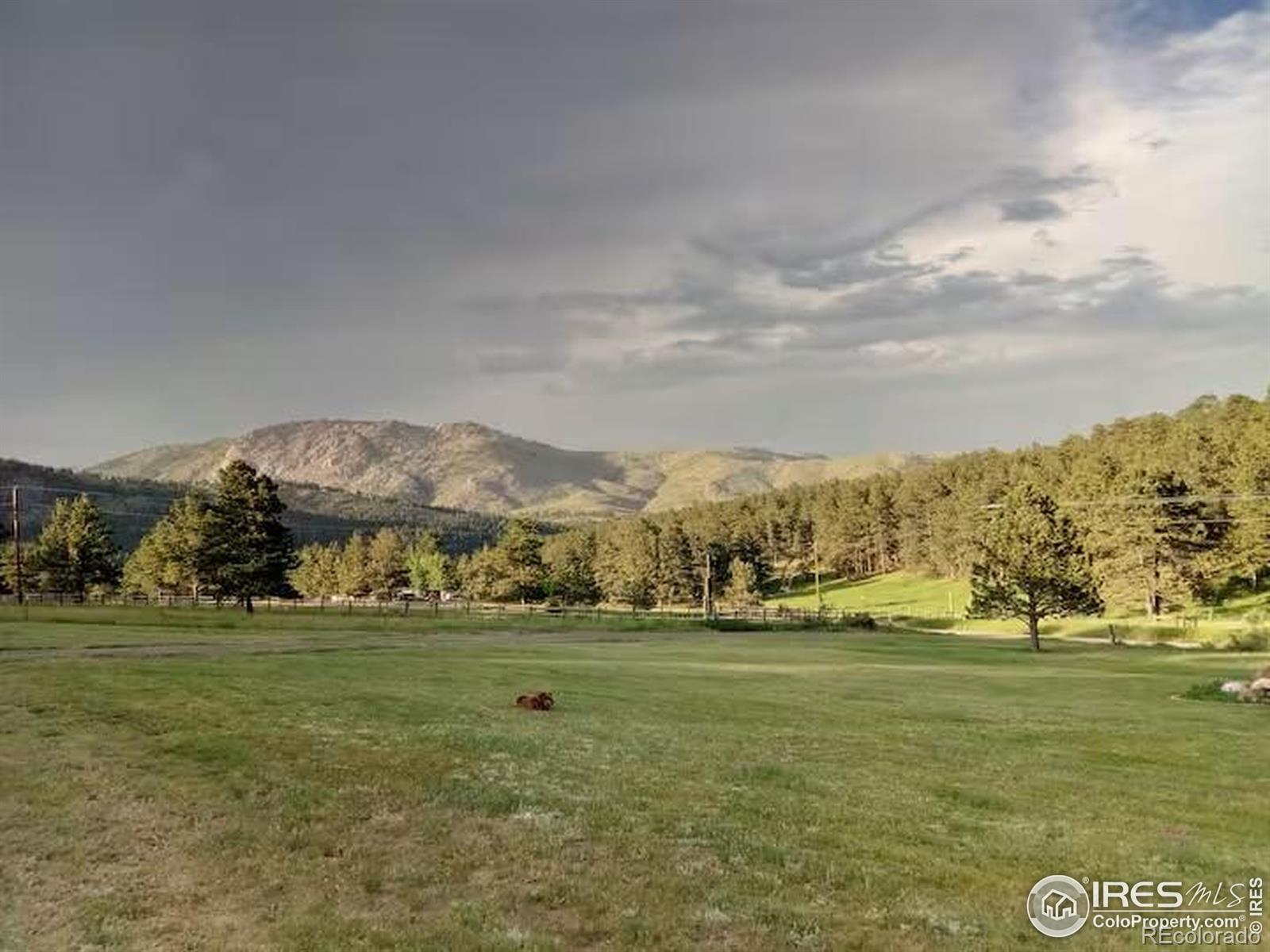 1153 spruce mountain drive, Drake sold home. Closed on 2025-07-24 for $395,000.