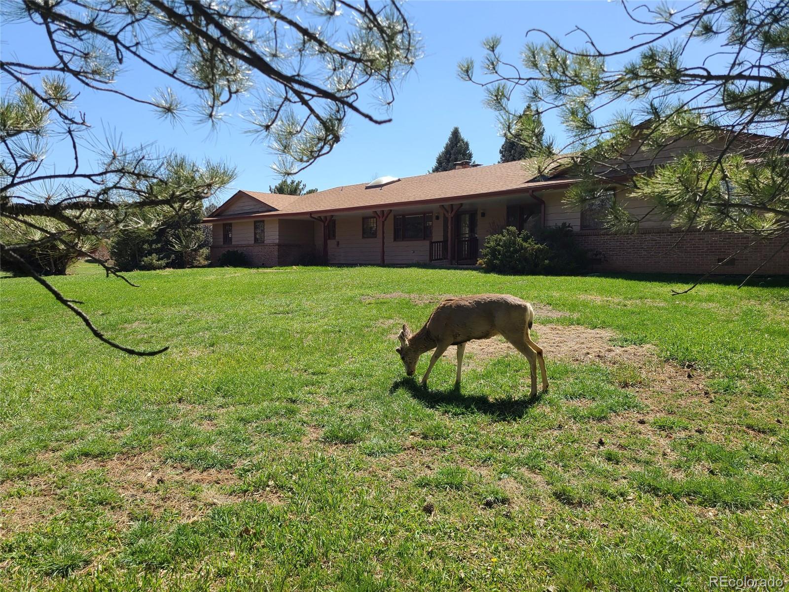 5521  Colorow Drive, morrison MLS: 3262526 Beds: 5 Baths: 4 Price: $1,250,000