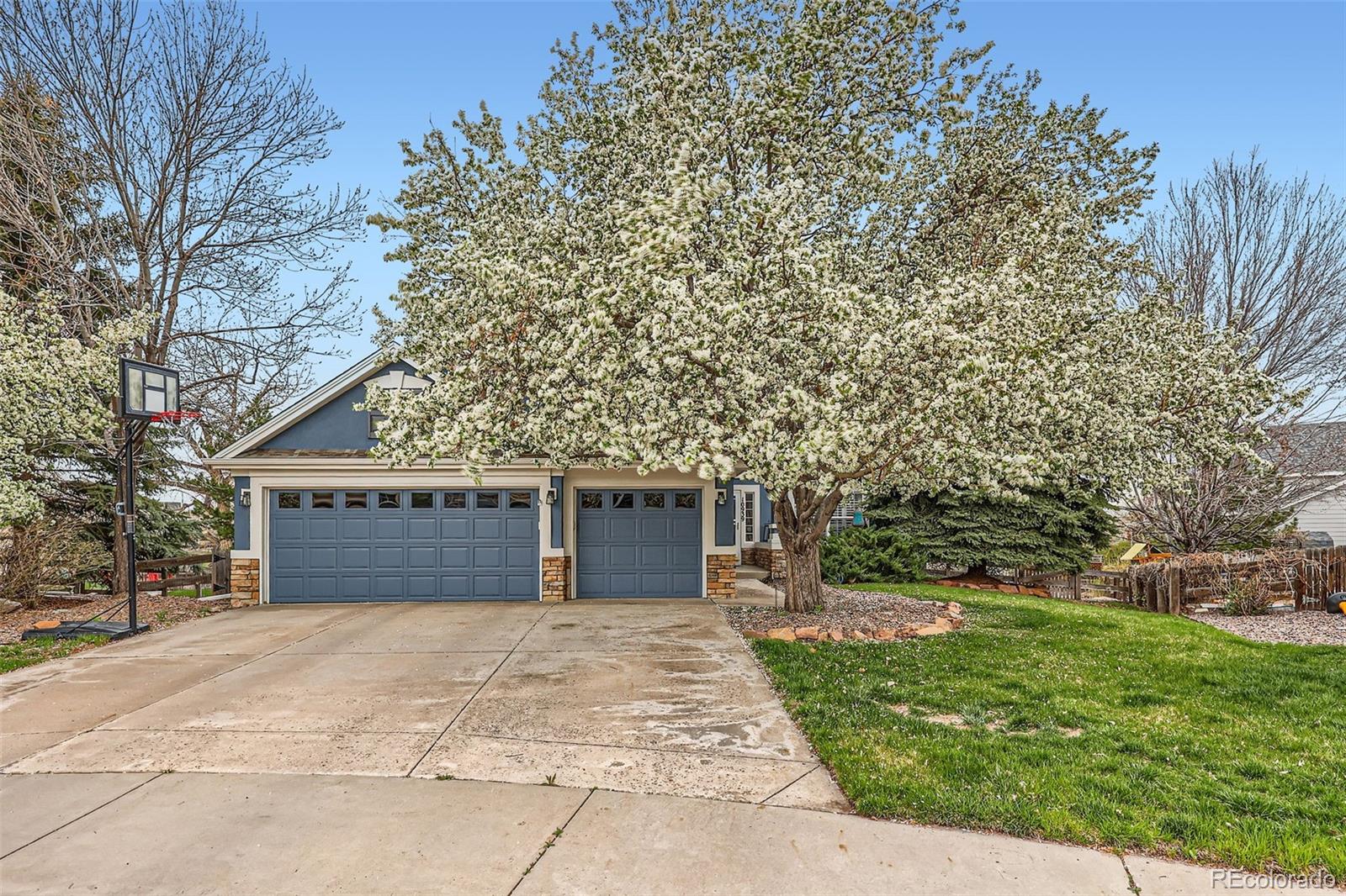 10939  Quail Run Court, parker MLS: 7169838 Beds: 4 Baths: 3 Price: $649,999