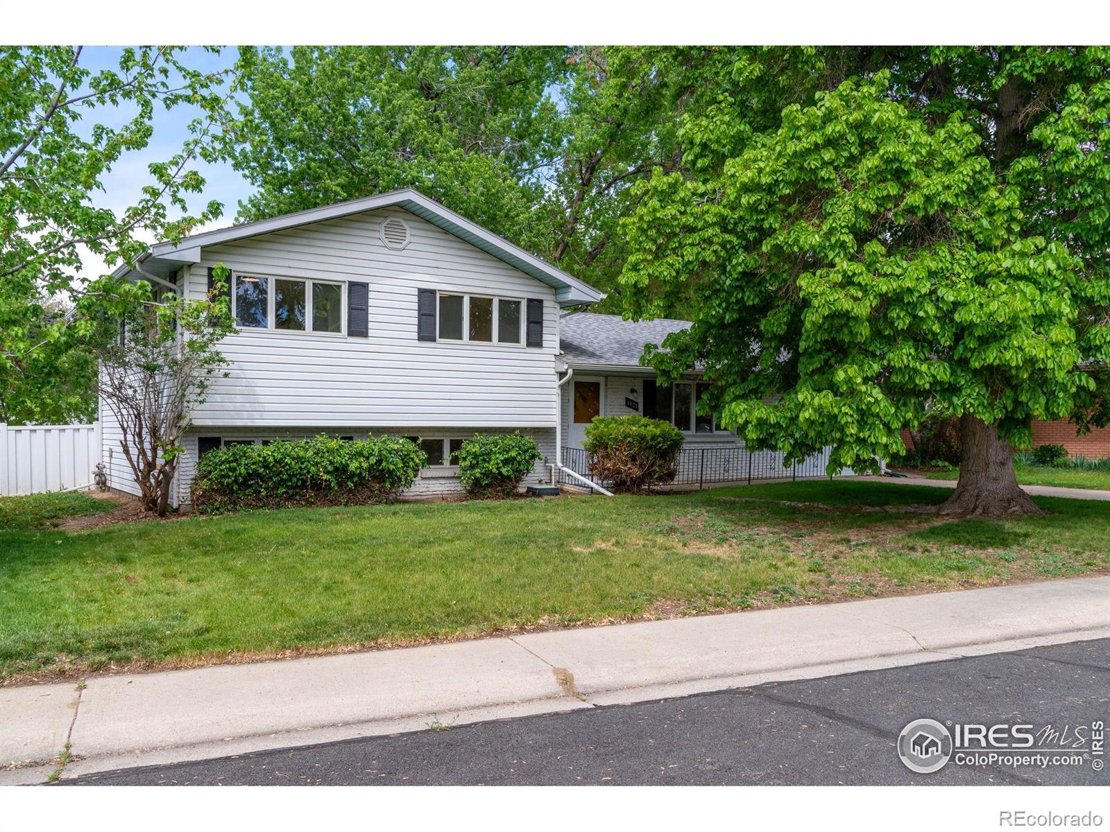 1429  Linden Street, longmont MLS: 4567891033974 Beds: 4 Baths: 2 Price: $512,000