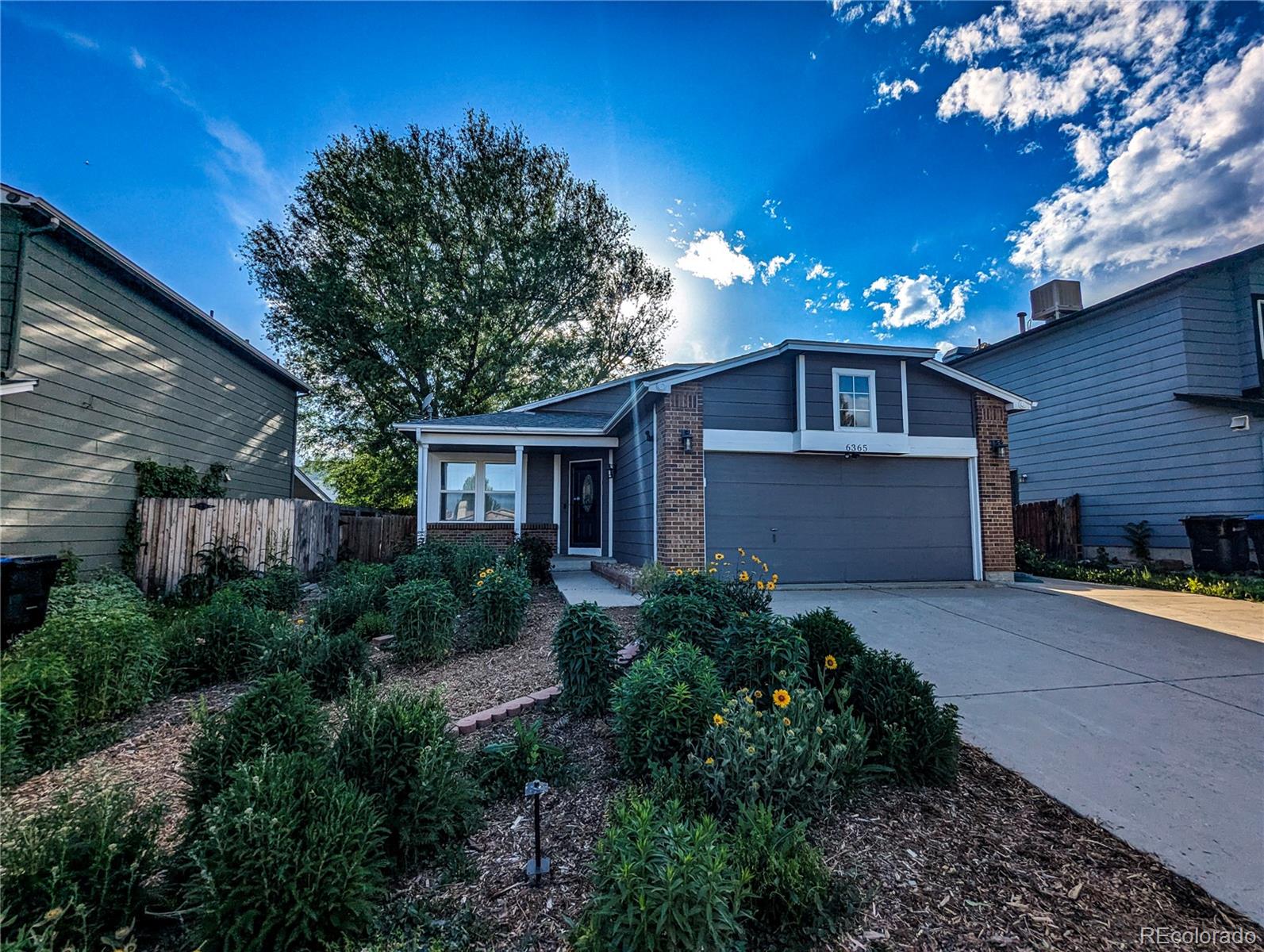 Arlington Meadows Arvada Home | MLS #: 32513516365  Xavier Court, Arvada Beds: 4 Baths: 2 Price: $539,000
