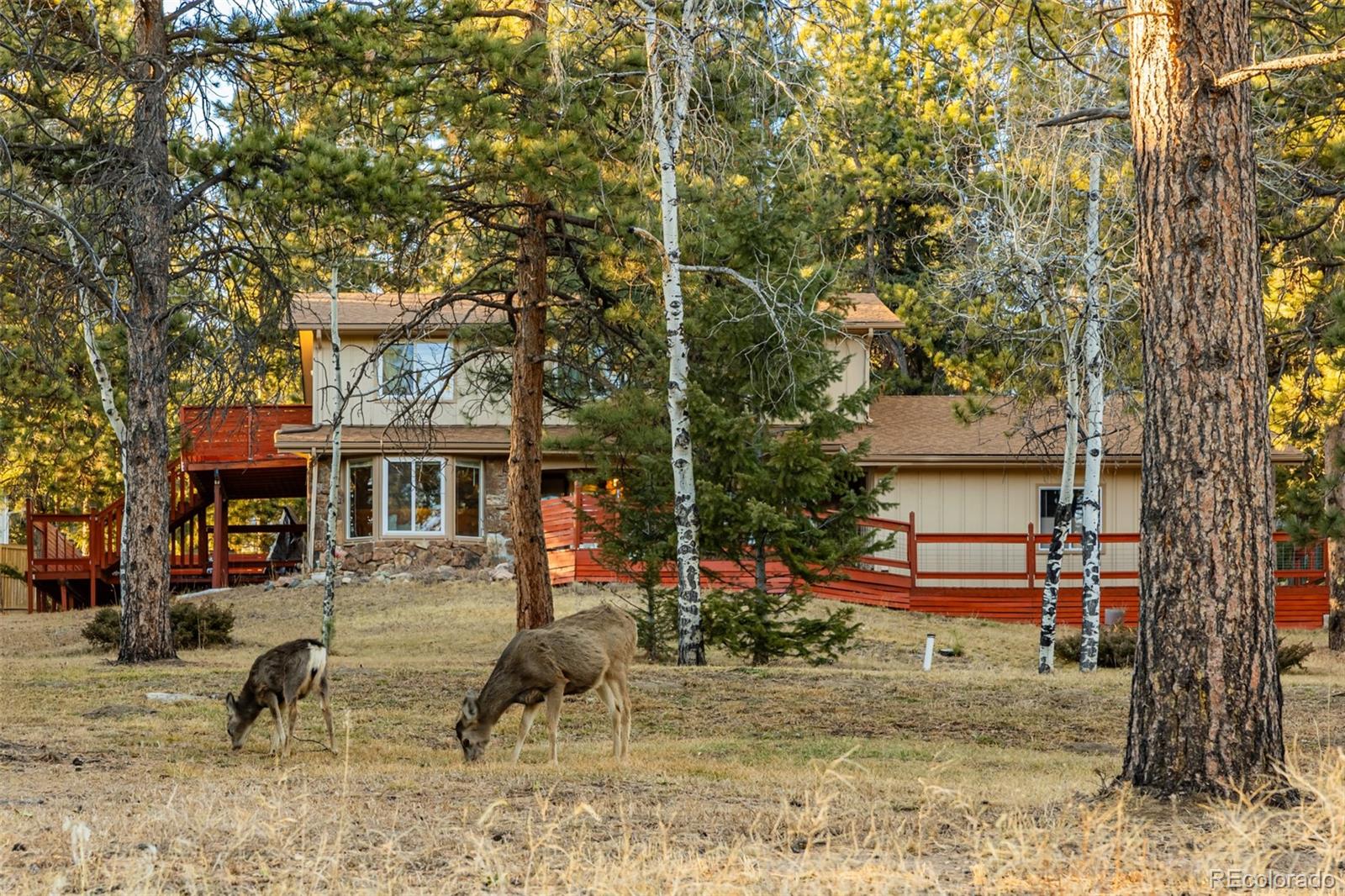  Evergreen Home | MLS #: 365677928735  Little Big Horn Drive, Evergreen Beds: 4 Baths: 3 Price: $915,000