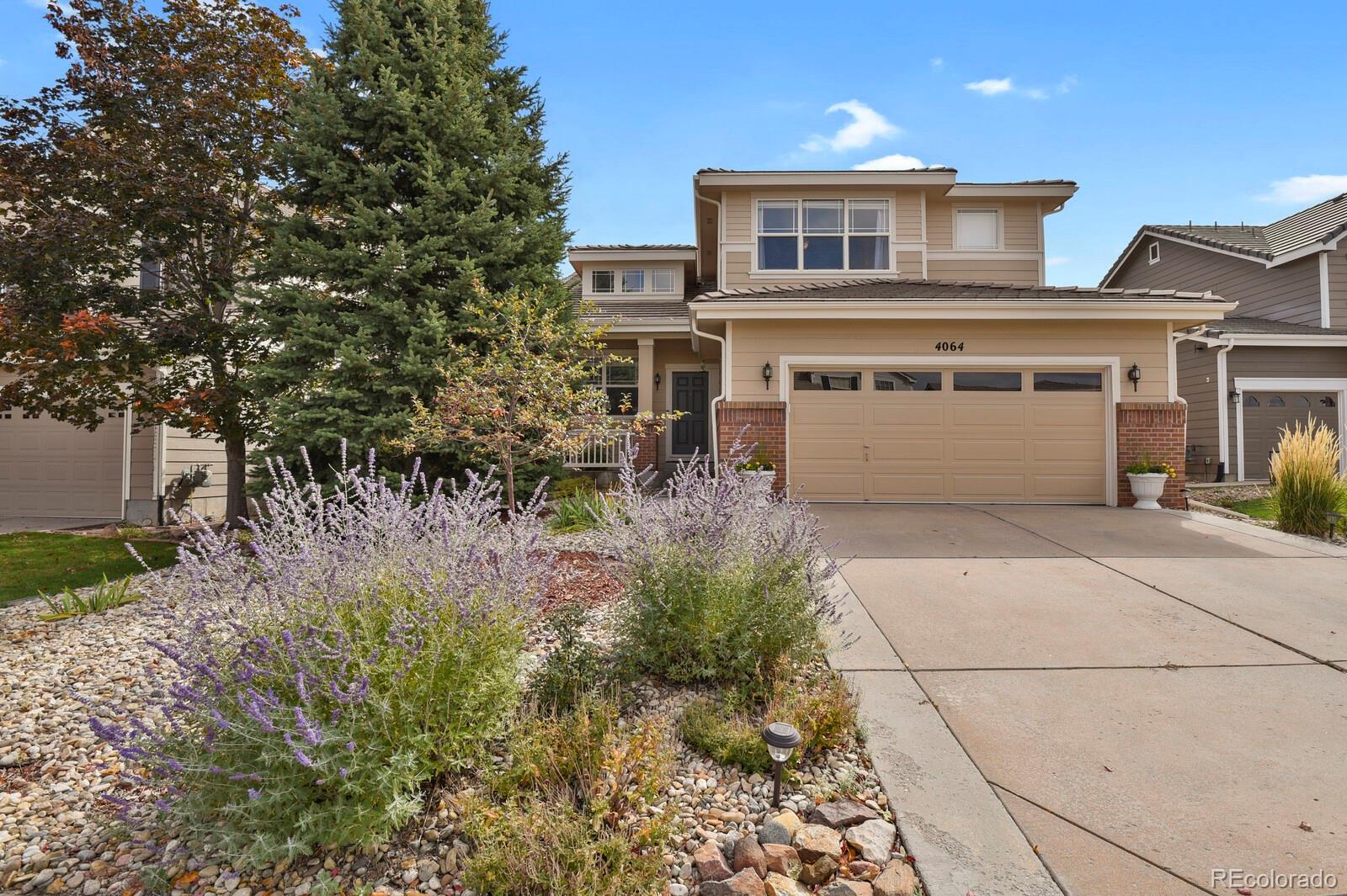 The Meadows Castle Rock Home | MLS #: 96734784064  Scarlet Oak Court, Castle Rock Beds: 5 Baths: 3 Price: $615,000