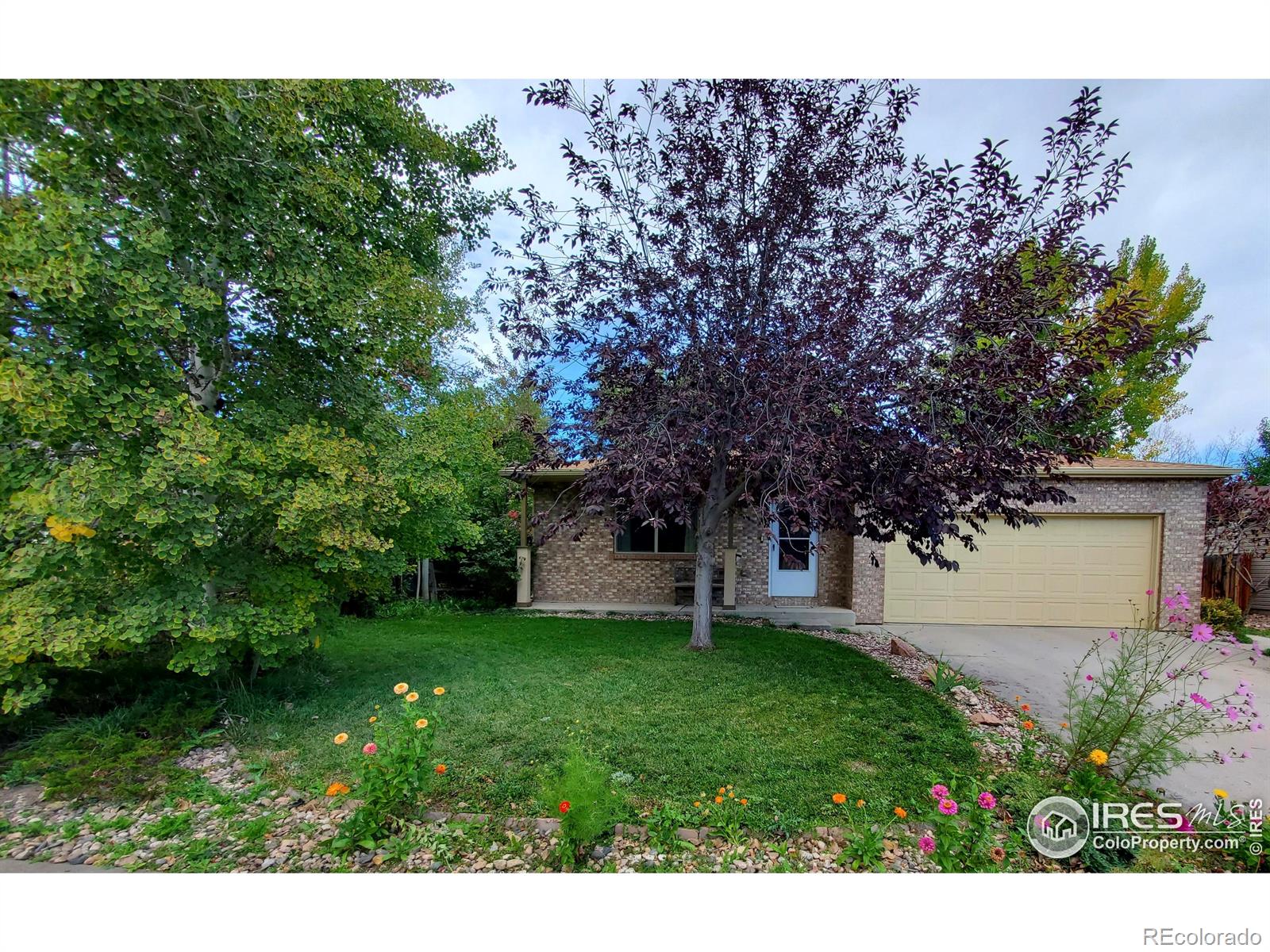 Windsor Village Windsor Home | MLS #: 456789105073860  Lodgepole Drive, Windsor Beds: 3 Baths: 2 Price: $425,000
