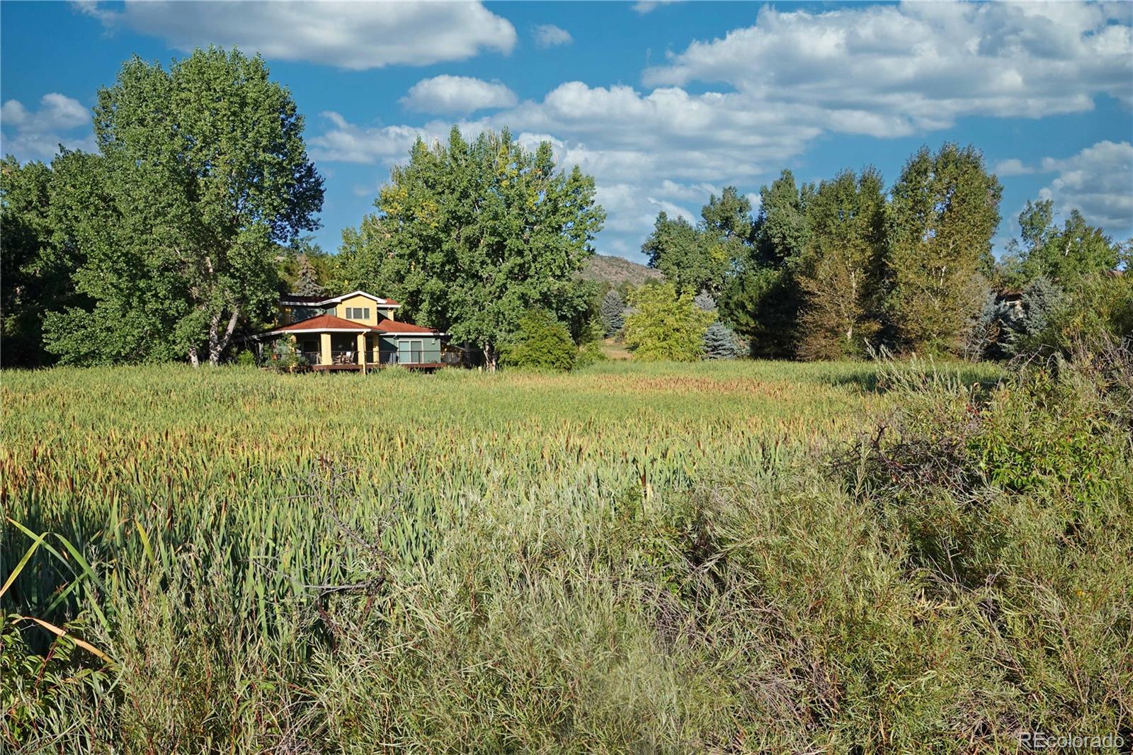  Morrison Home | MLS #: 19834356115  Meadowbrook Drive, Morrison Beds: 3 Baths: 4 Price: $1,700,000