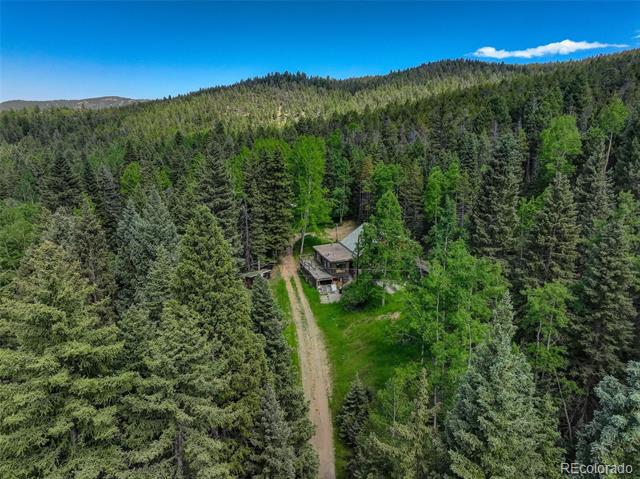 11173 S Barney Gulch Road, conifer  House Search MLS Picture