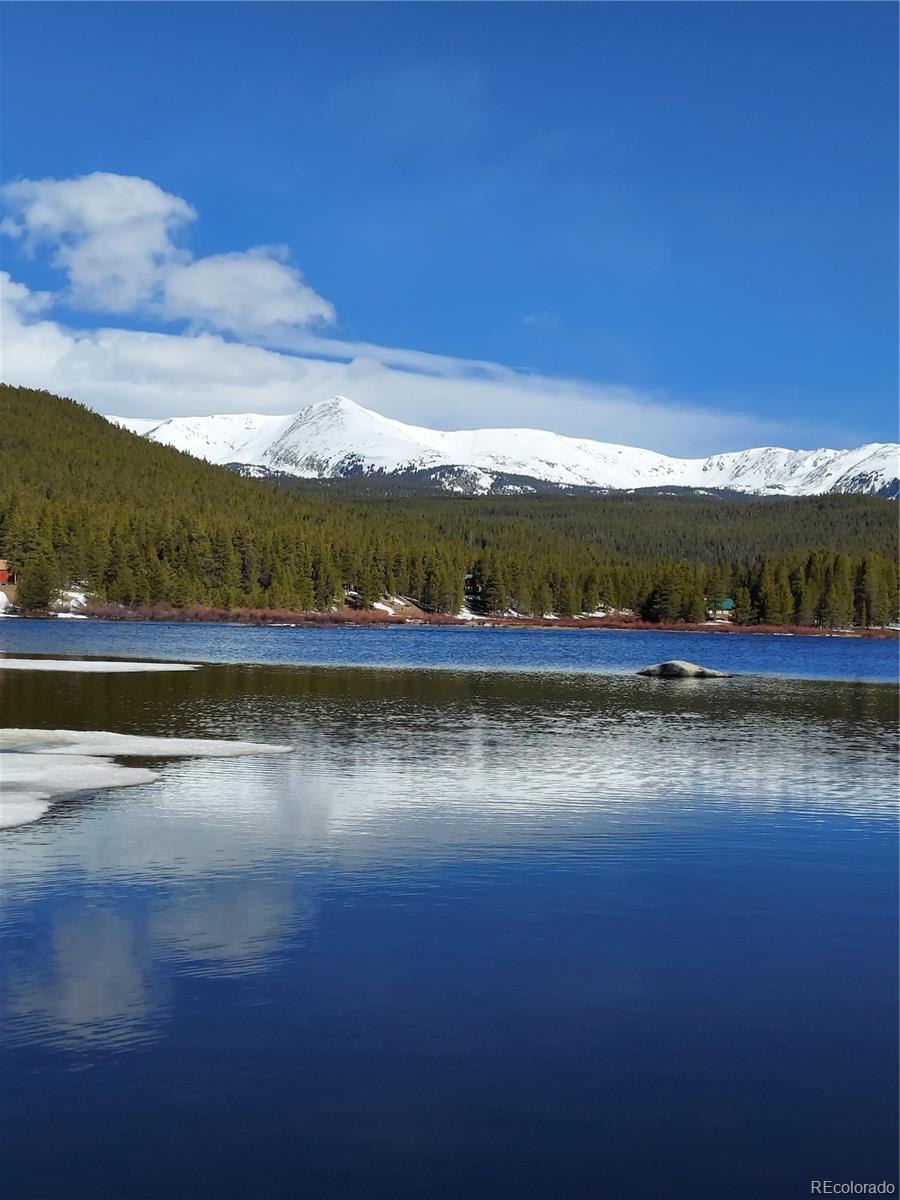 649  County Rd #21 , leadville  House Search MLS Picture