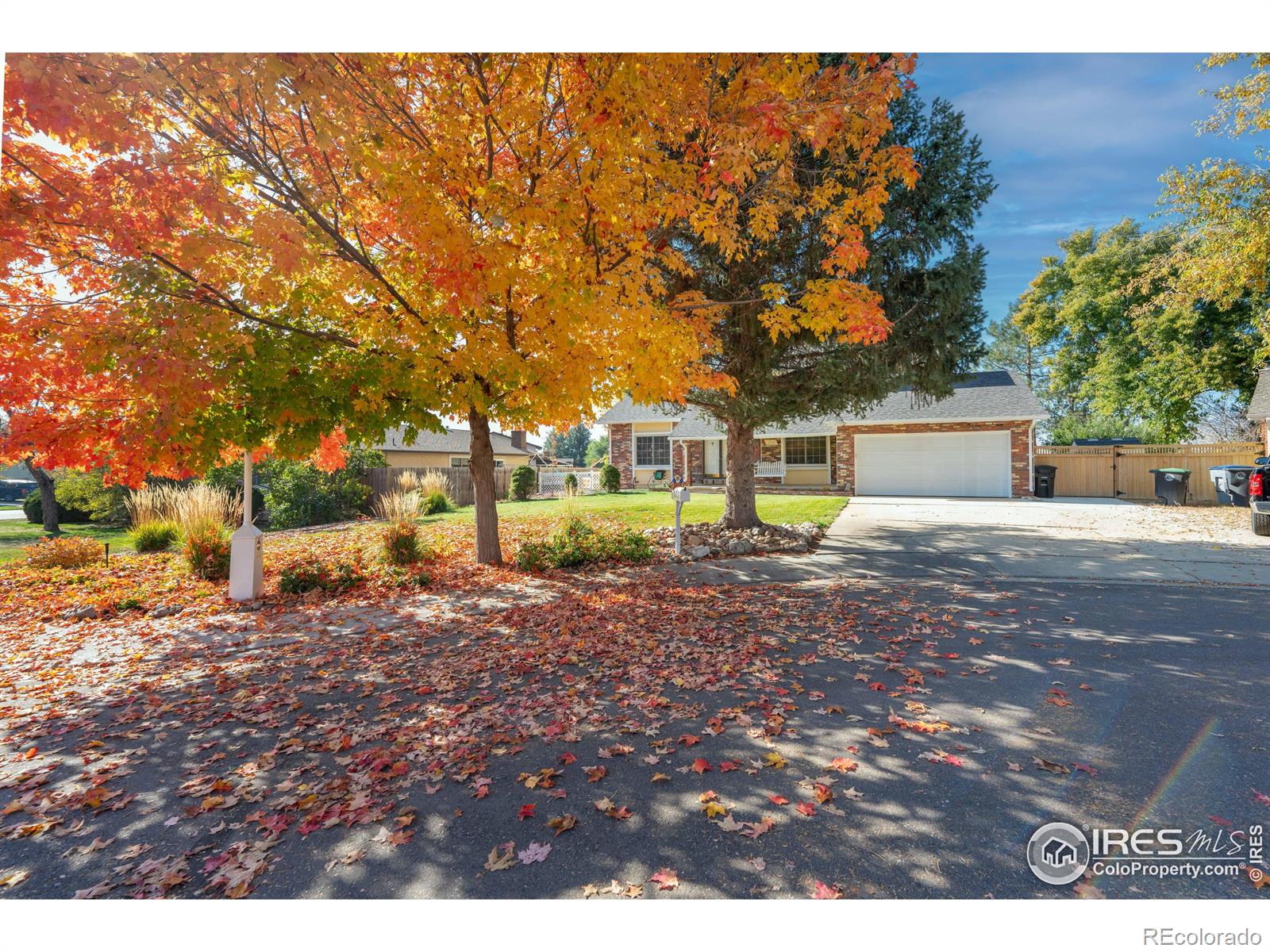155  Baylor Way, longmont  House Search MLS Picture