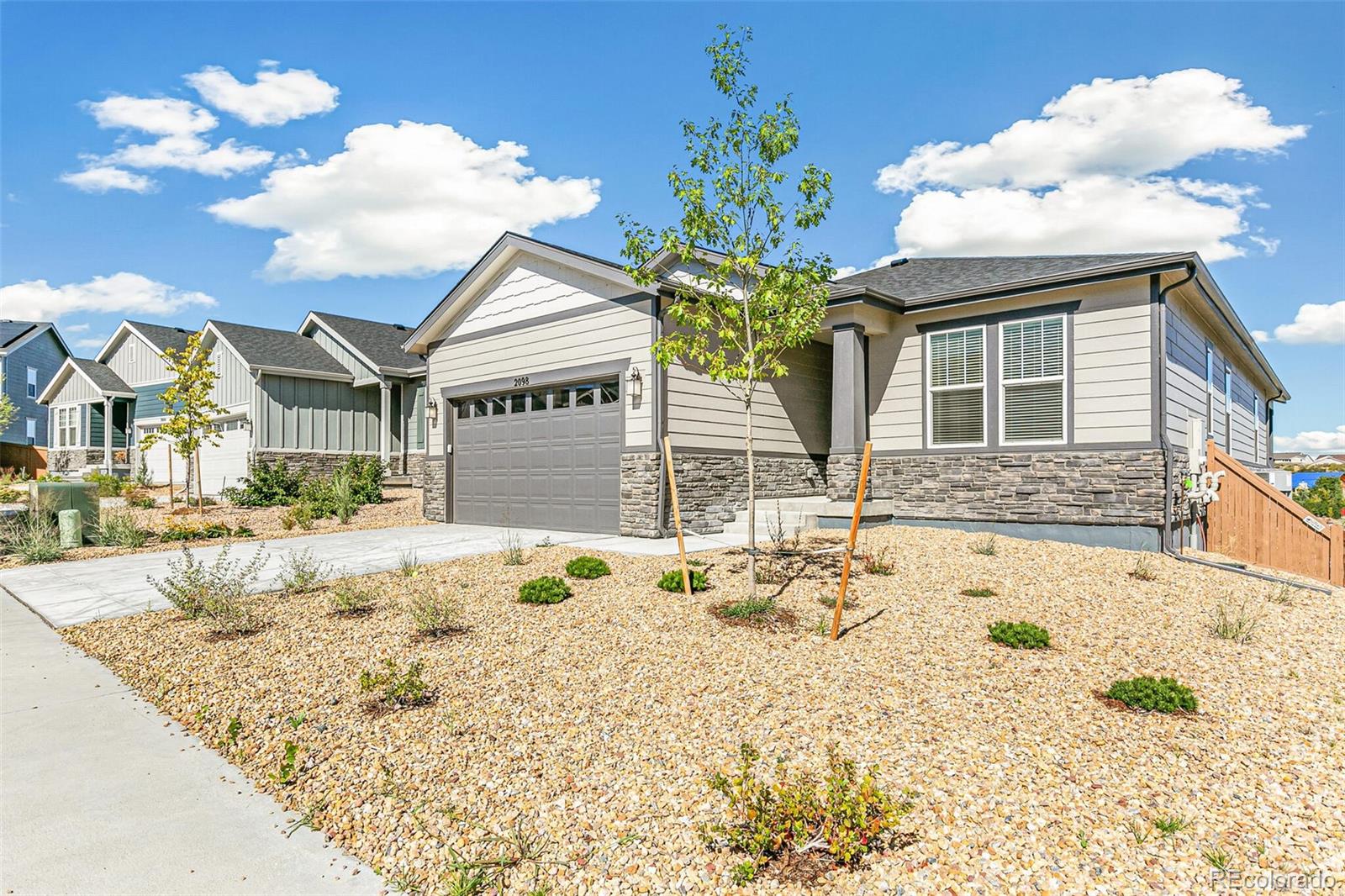 2098  Peachleaf Loop, castle rock  House Search MLS Picture