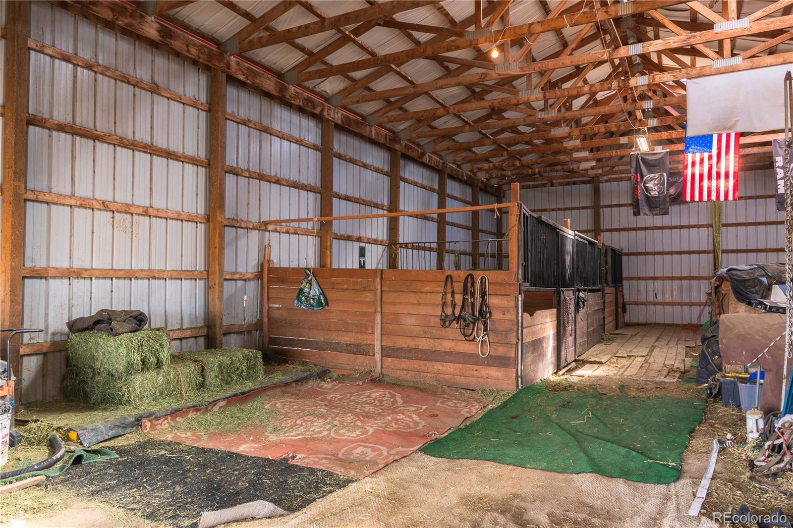 strasburg  Horse Properties Search Picture