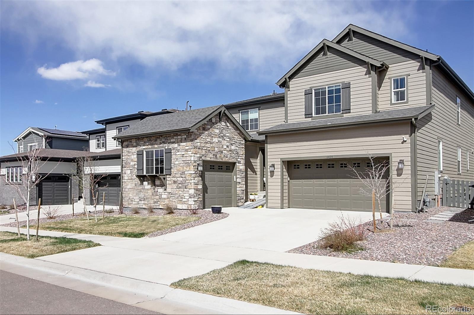 6428  Stable View Street, castle pines  House Search MLS Picture