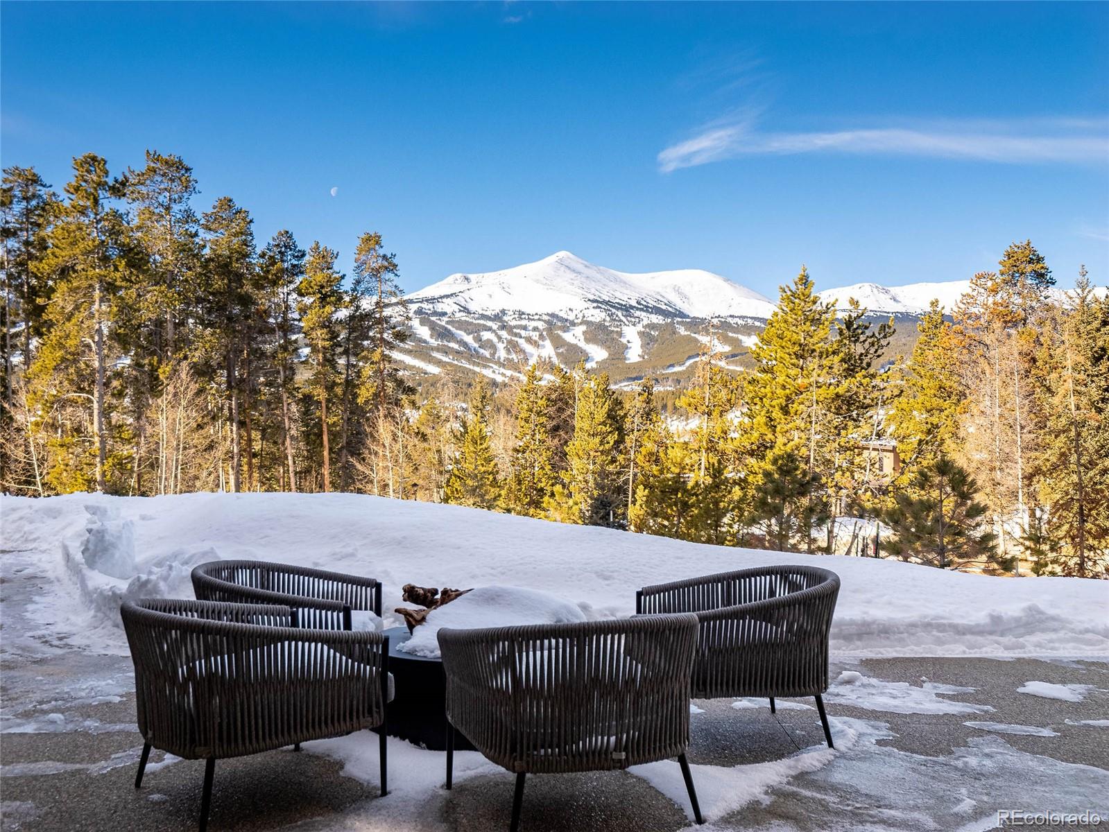 132 N Gold Flake Terrace, breckenridge  House Search MLS Picture