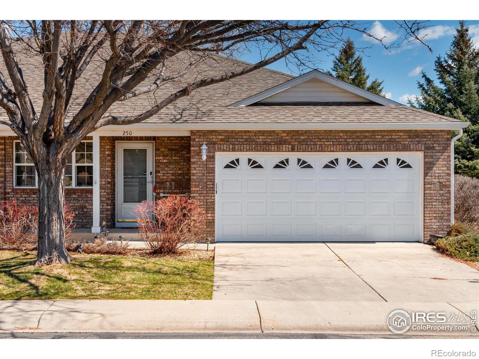 250  Shupe Circle, loveland  House Search MLS Picture