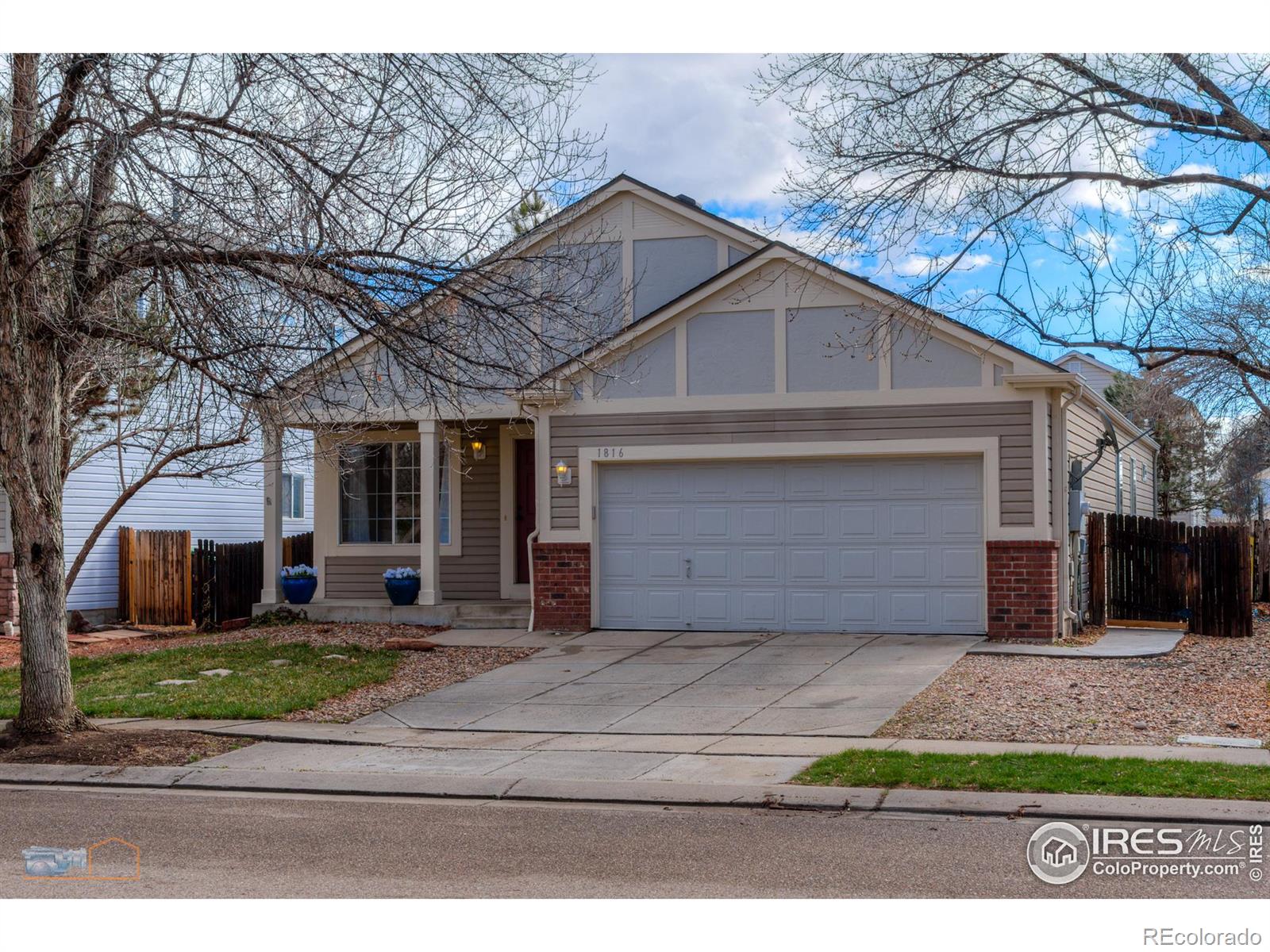 1816  Fountain Court, longmont  House Search MLS Picture
