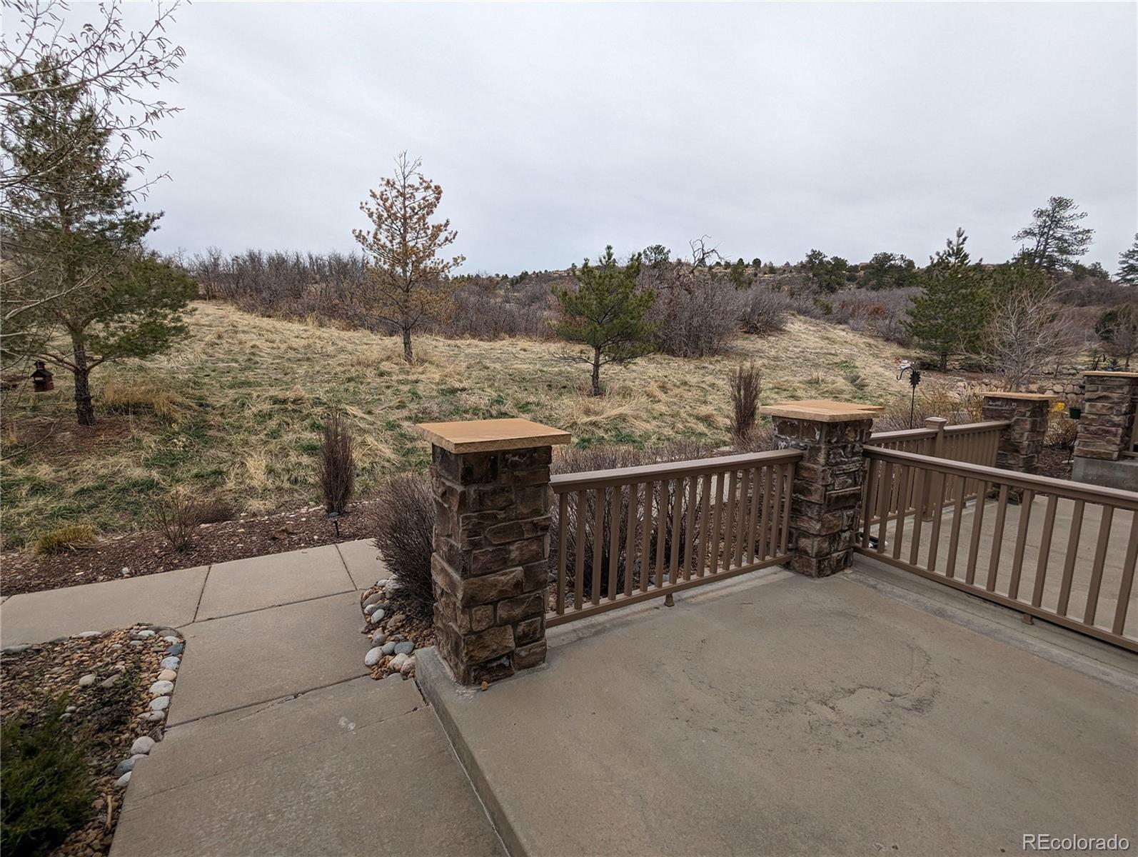 727  Crooked Y Point, castle rock  House Search MLS Picture