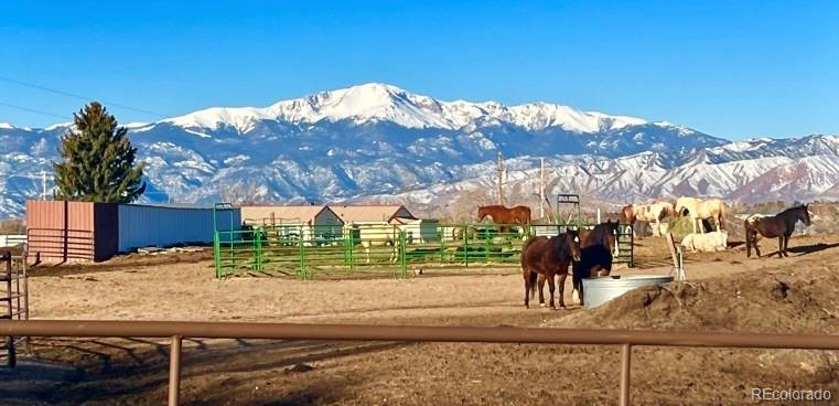 colorado springs  House Search Picture