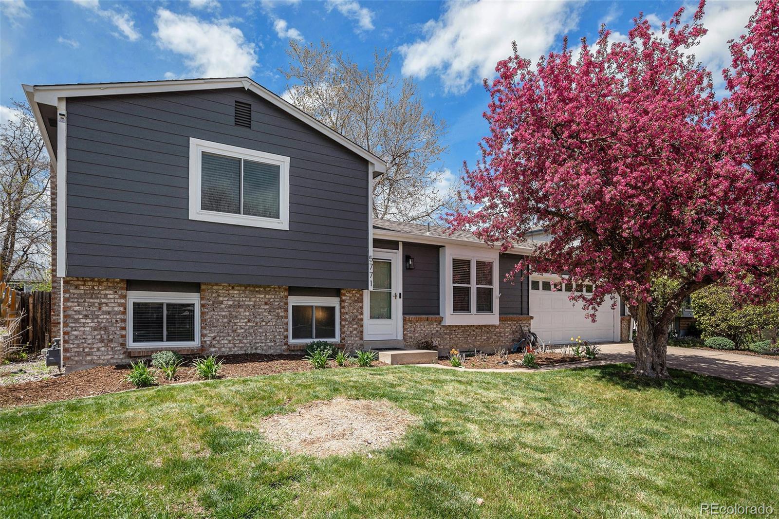 5771 S Queen Street, littleton  House Search MLS Picture