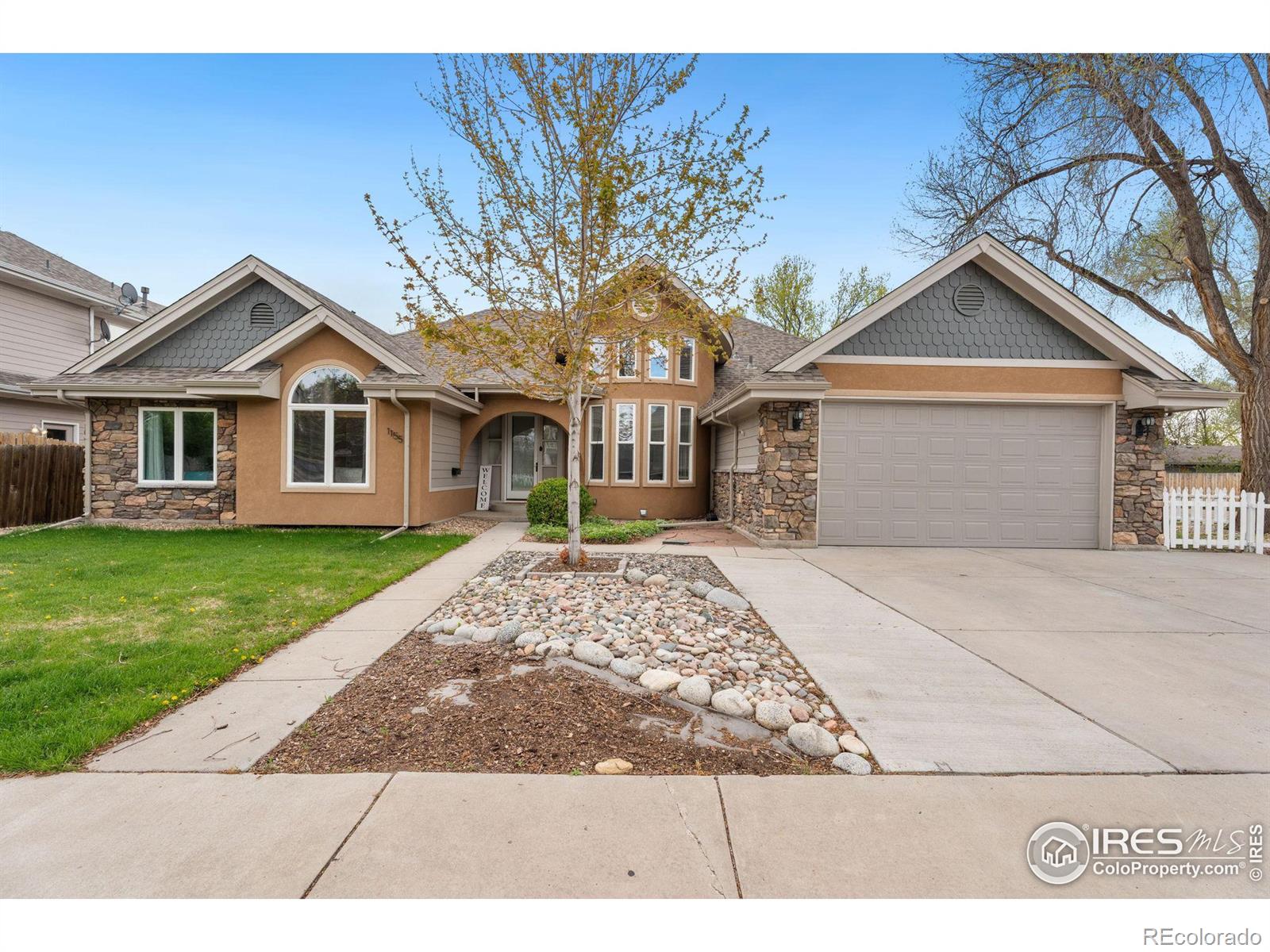 1155  15th Avenue, longmont  House Search MLS Picture