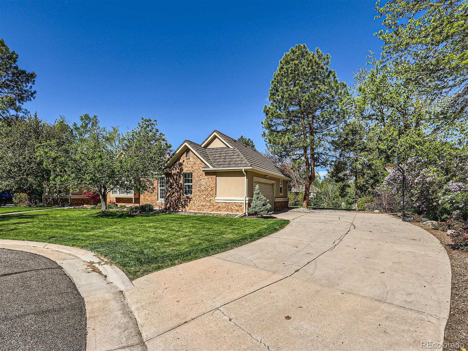 5929 S Wolff Court, littleton  House Search MLS Picture