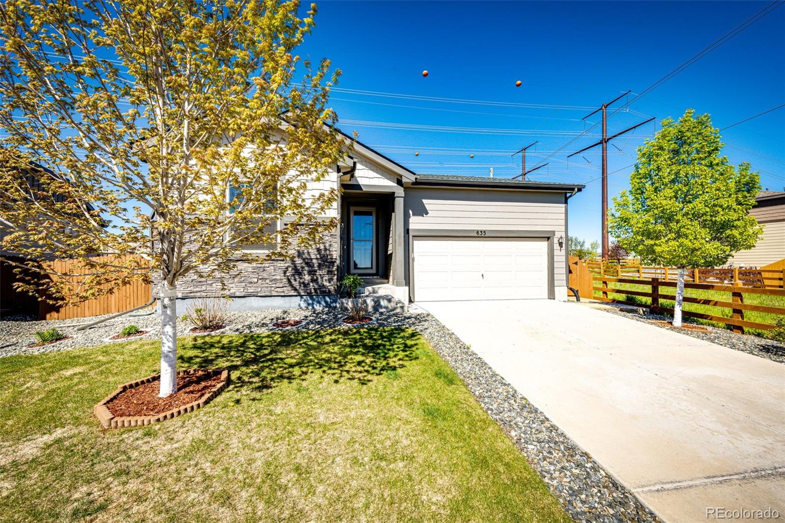 635  Pine Warbler Court, castle rock  House Search MLS Picture
