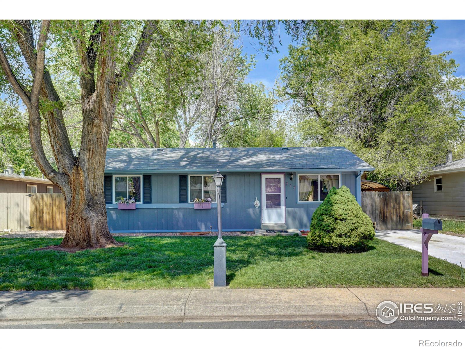 717  Mount Evans Street, longmont  House Search MLS Picture