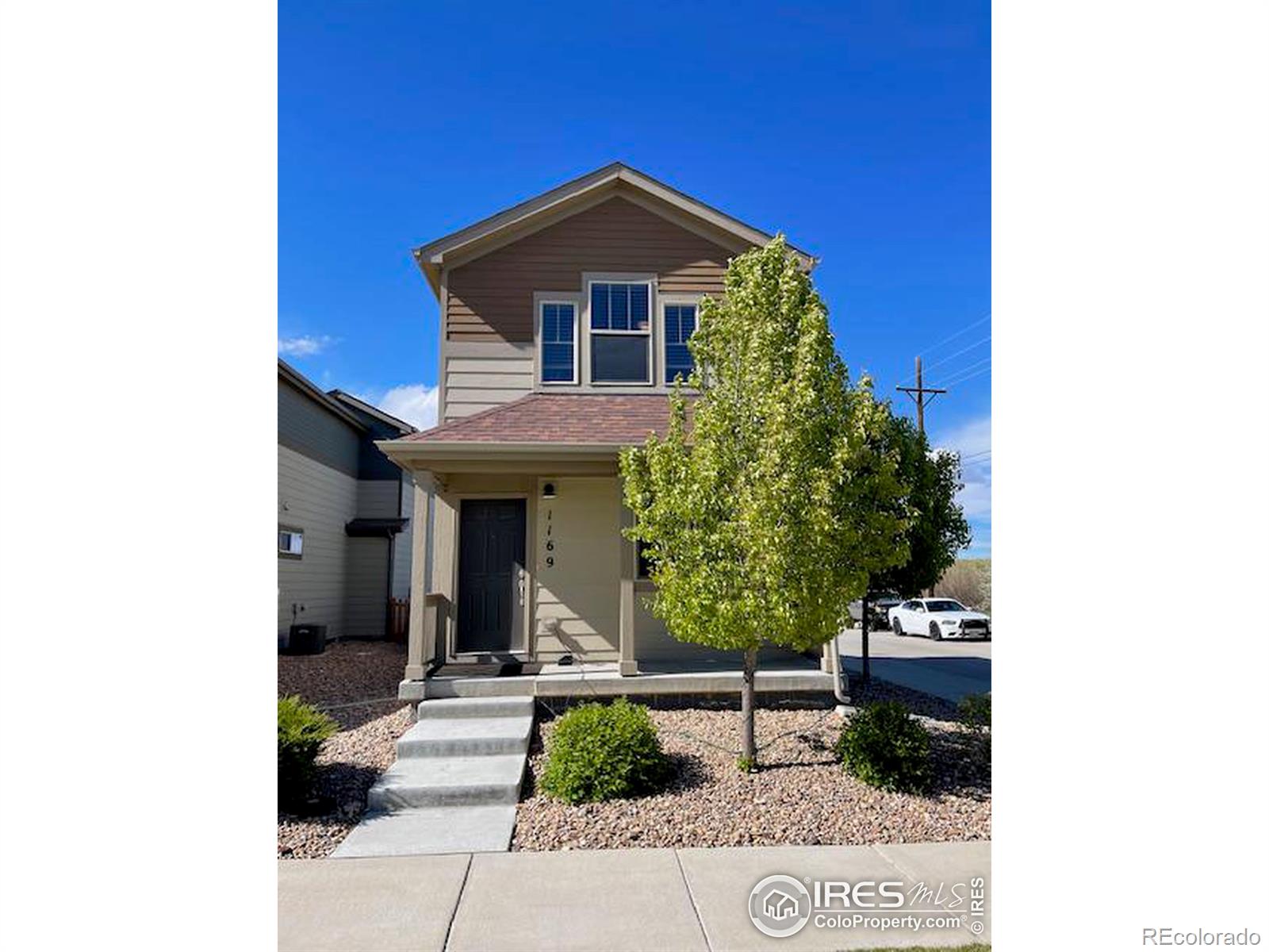 1169  Hummingbird Circle, longmont  House Search MLS Picture