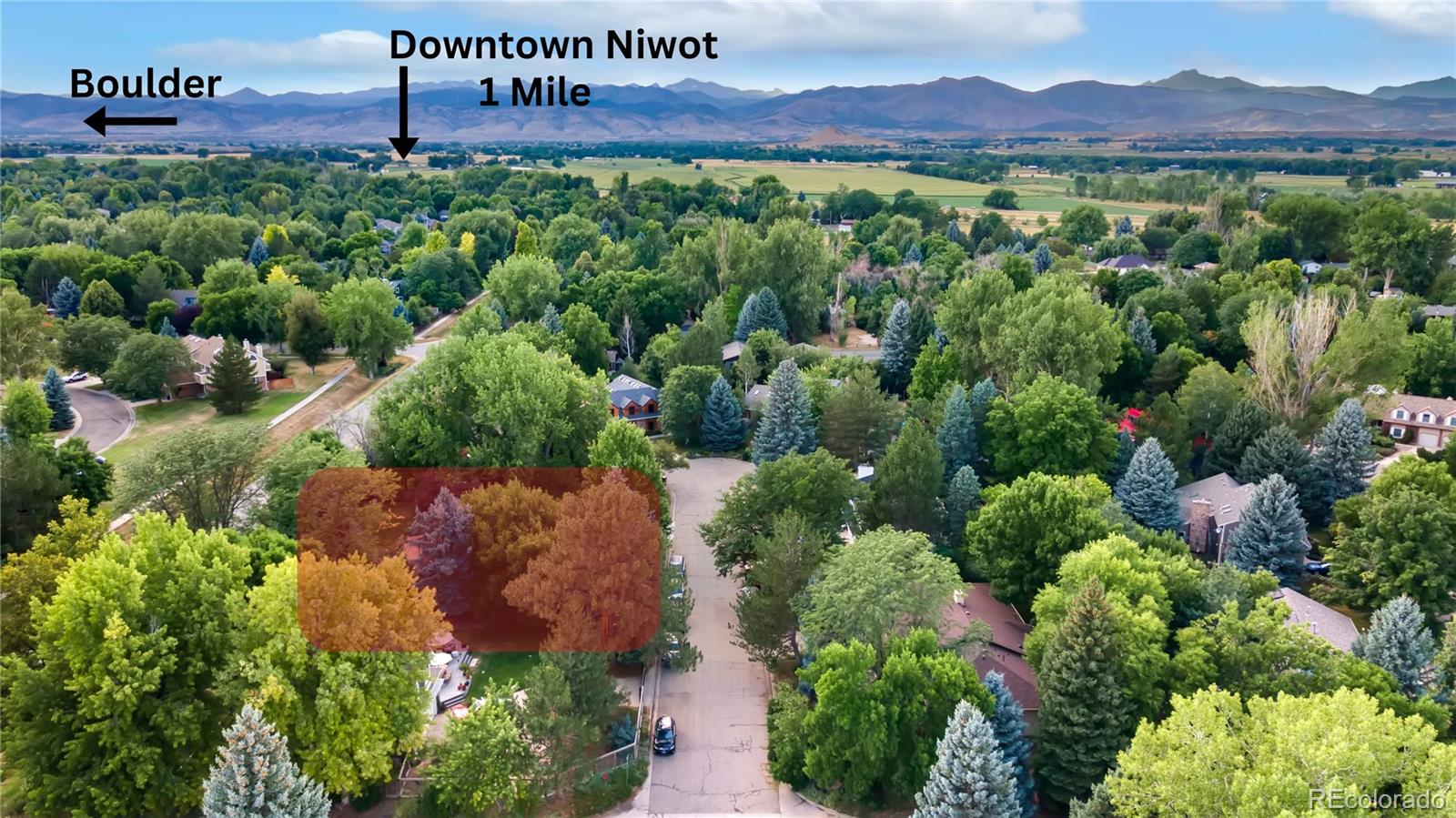 niwot  House Search Picture