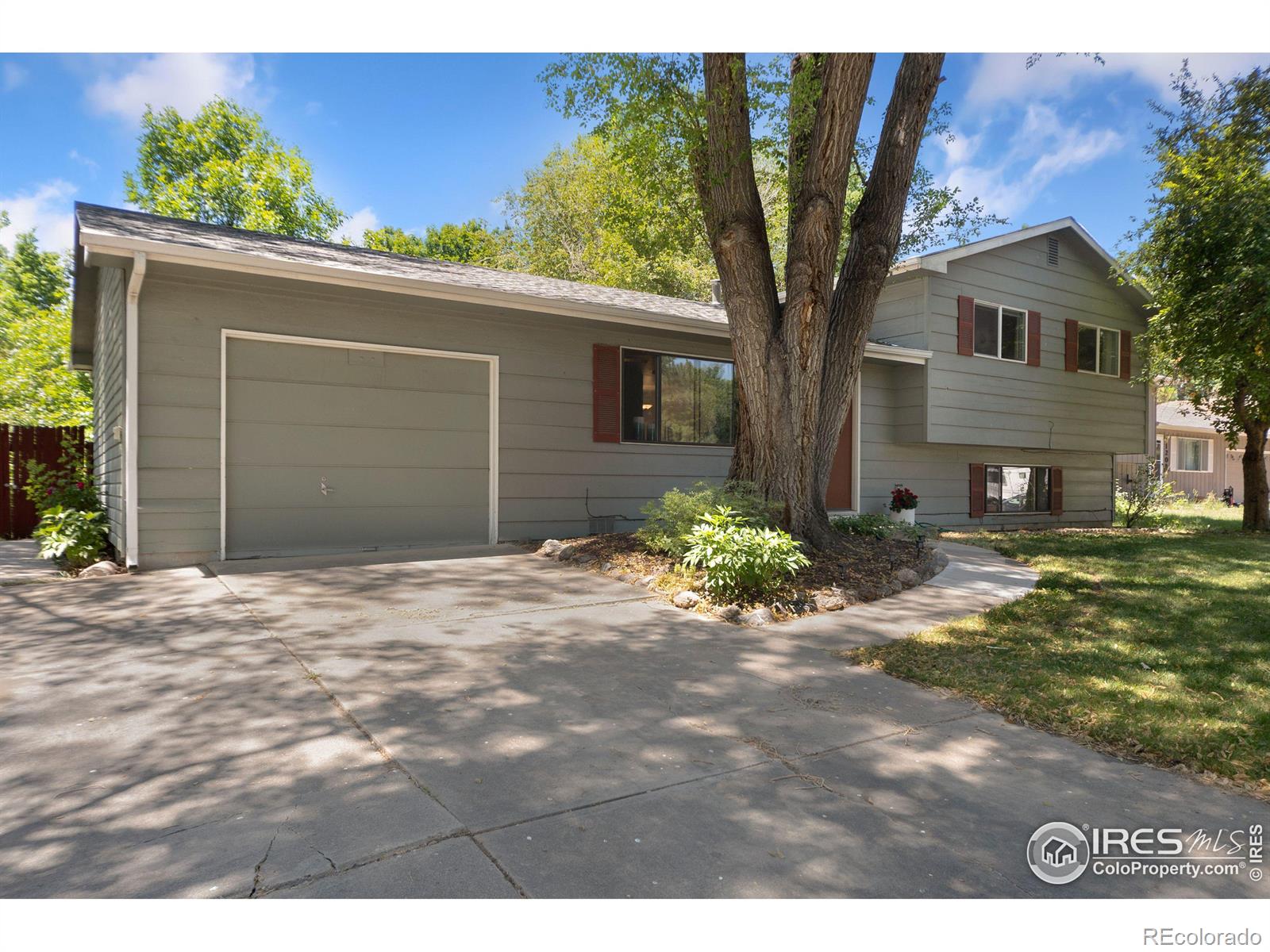 1213  Briarwood Road, fort collins  House Search MLS Picture