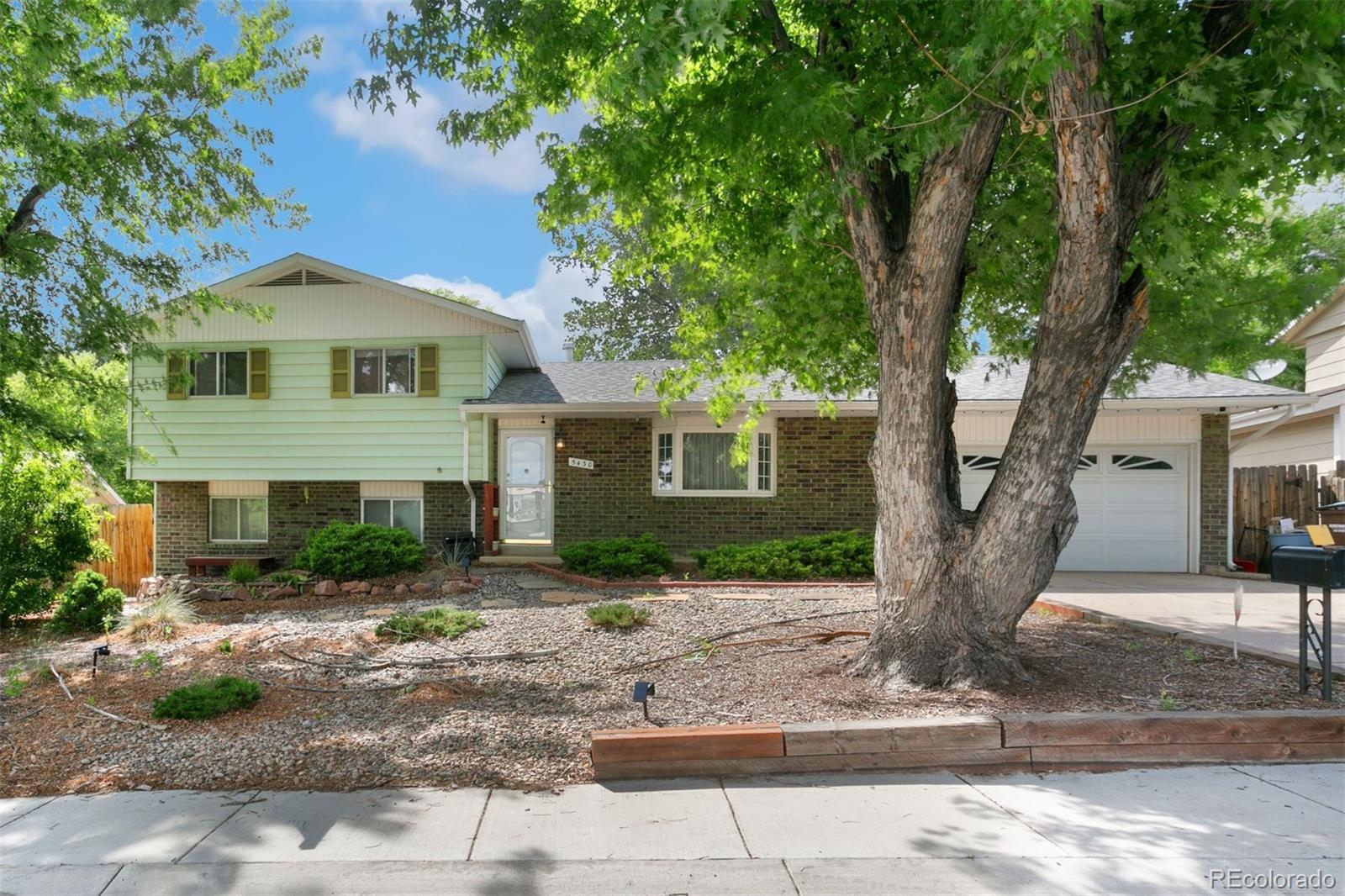 colorado springs  House Search Picture