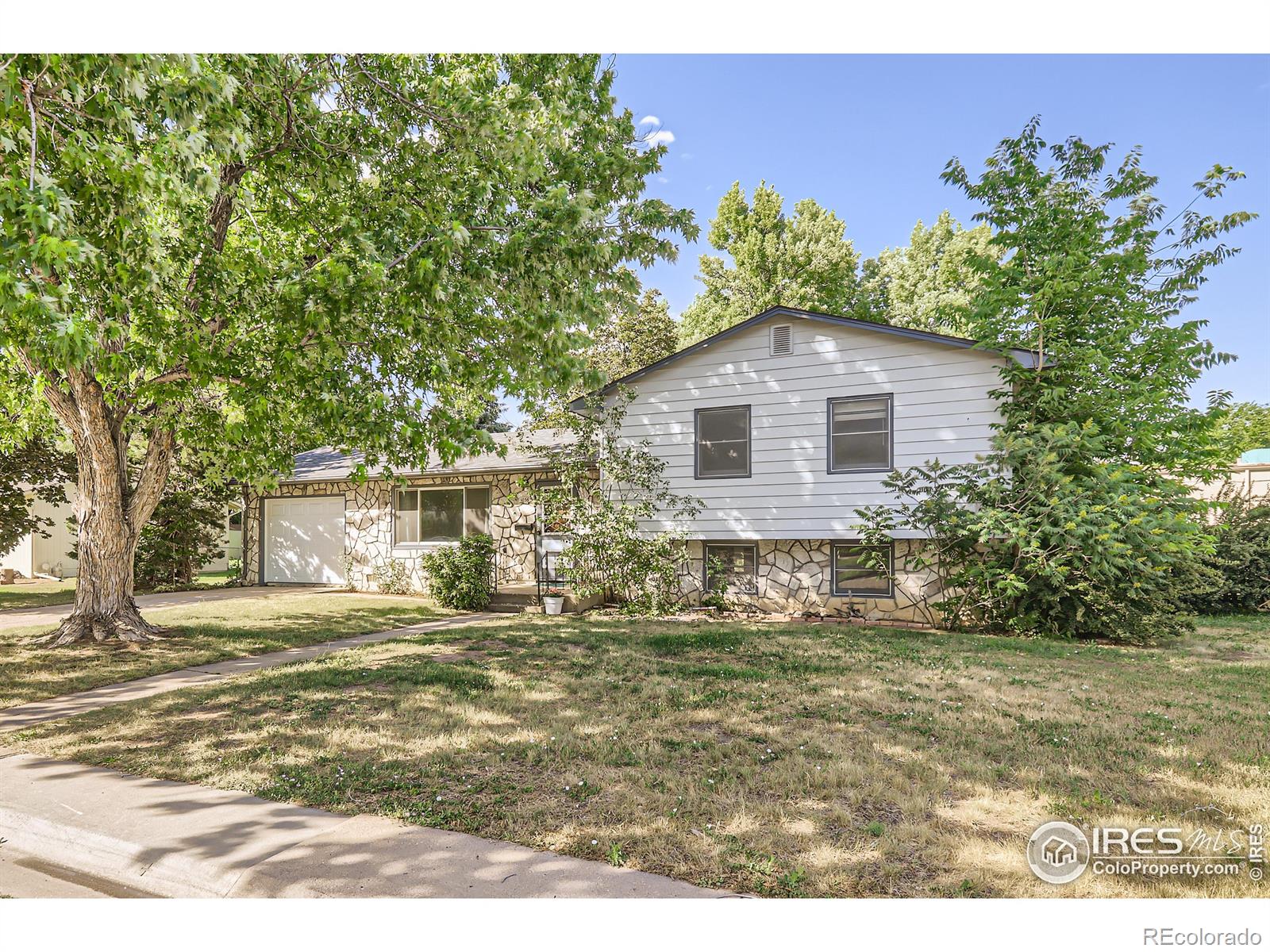 1036  Montview Road, fort collins  House Search MLS Picture