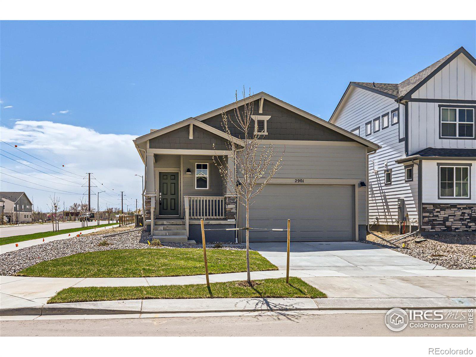 2901  Hidden Brook Place, longmont  House Search MLS Picture