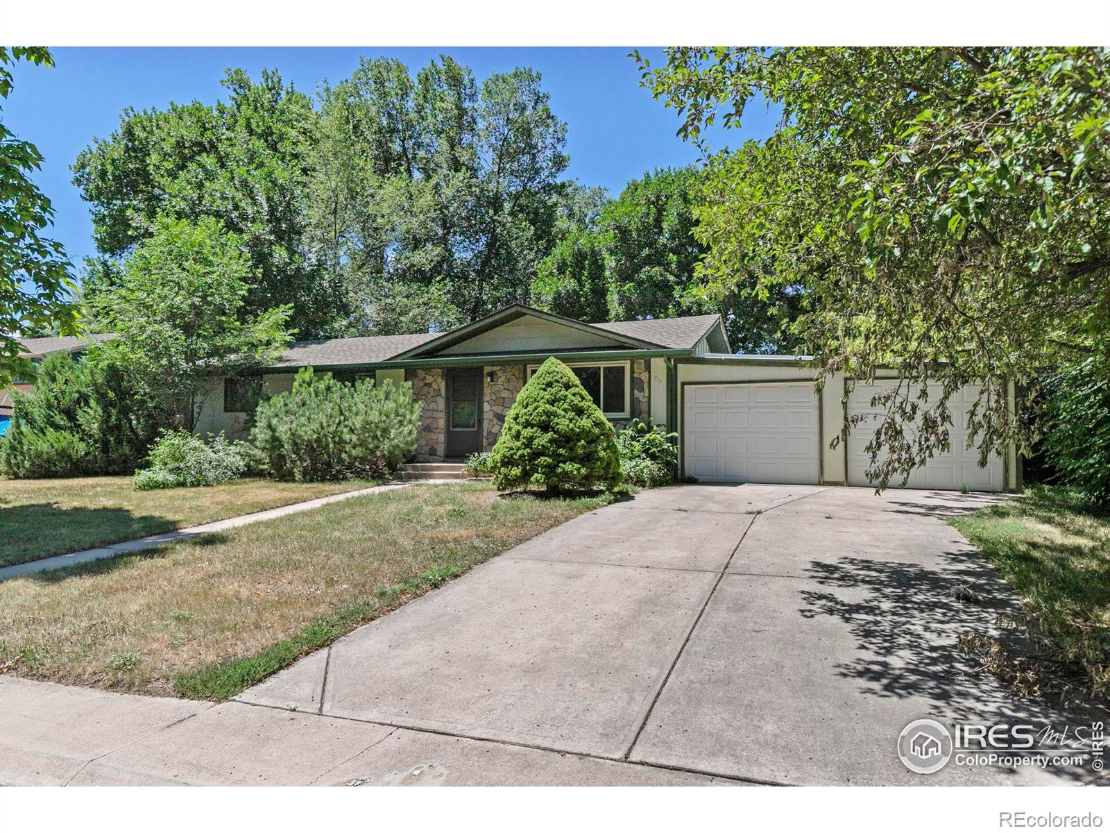 fort collins  House Search Picture